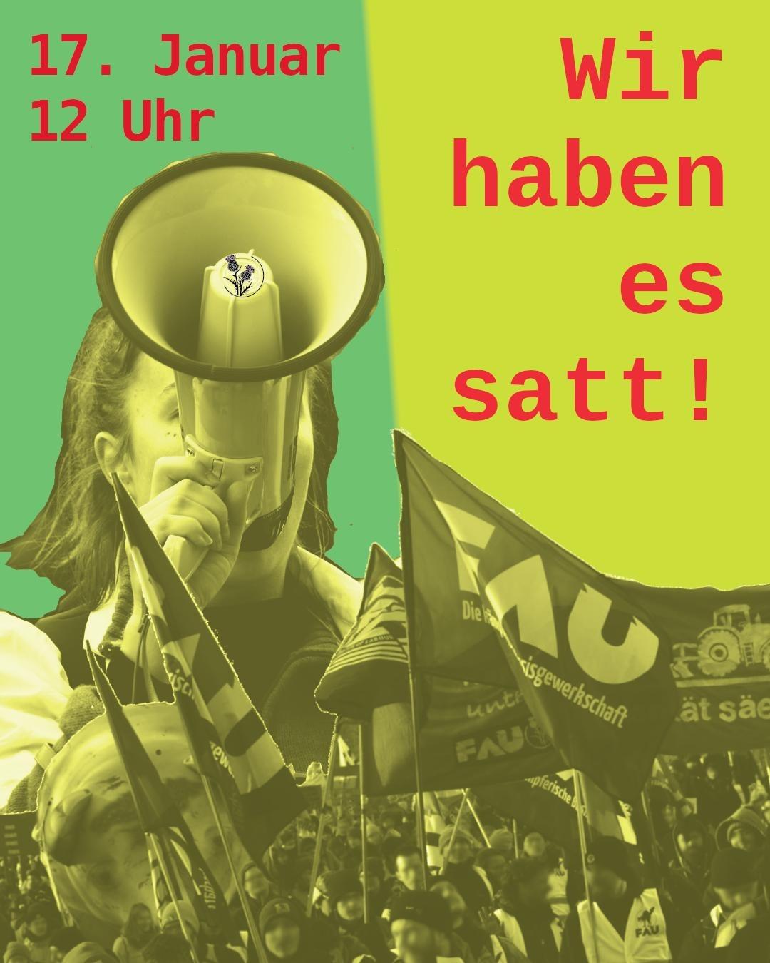 Fotomontage in grün und gelb: Person mit Megafon vor einem Demoblock der IGG. Beschriftung "Wir haben es satt!", 17. Januar, 12 Uhr